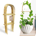 Avalution 10 Pack Bamboo U Trellis for Climbing Plants, 2ft Garden Ladder Trellis for Potted Plants Indoor, Ladder Small Plant Support Trellis for Houseplants Ivy Hoya Vine Monstera