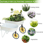 BAYN Metal Wheelbarrow Flower Cart Planter, 2 Packs Plant Stands with Triangular Support Handles Non-Rolling Wheel Vintage Wagon Planter Pots for Home Patio Garden Backyard Rustic Outdoor Decor