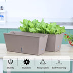 Window Box Planter 6 Pcs, 16.5 Inches Self Watering Rectangle Flower Plant Pots with Drainage Holes Trays, Vegetable Planters for Windowsill Patio Garden Balcony Porch Yard (Khaki)