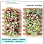 ShopLaLa Wall Planter - 2 Pack Wooden Orchid Planter Frame Display Outdoor Plants, Wall Mount Air Plants Succulent Holder Hanger, Vertical Garden Plant Wall Decor Macetas para Orquideas 15.7" (40cm)