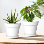 7 Inch Thick Plastic Plant Pots with Drainage Holes and Trays – 6 Pack Nursery Pots for Indoor & Outdoor House Plants, Seedling Starter Planters for Garden Flowers, White