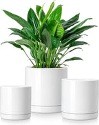 vancasso Ceramic Plant Pots, 3 Piece Planters for Indoor Plants, 4.25+5.25+6.25 Inch Flower Pots with Drainage, Plant Pots Indoor for Succulent, Pothos, Snake Plant and Money Tree, Etc (White)