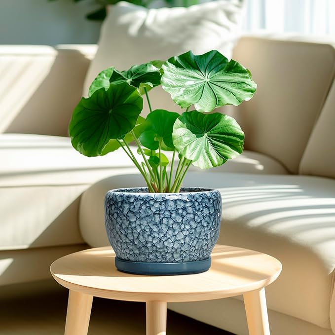 SQOWL 8 inch Plant Pot - Ceramic Pots for Plants Indoor, Decorative Plant Pot with Drainage Hole and Saucer, Ceramic Flower Pots Outdoor, Round Planter, Living Room Decor, Garden Gifts for Women, Blue