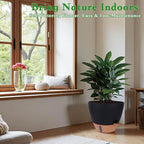 Self-Watering Plant Pots for Indoor Plants: 8/10/12 Inch Large Plastic Planter with Water Level Indicator, Drainage Holes & Deep Reservoir, Modern Decorative Flower Pot (Black)