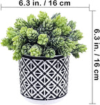 Winlyn 3 Pcs Small Potted Succulents Plants Artificial String of Pearls Aloe Hops Succulents in Black Geometric Concrete Pots for Gifts Modern Home Bathroom Window Table Indoor Outdoor Greenery Décor