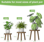 3-Pack Wood Plant Stands Indoor, Single Plant Stand for 6-12 Inch Pots, Mid-Century Modern Plant Stool, Tall Plant Stand for Large Plants for Living Room, Balcony, Office (Dark Gray)