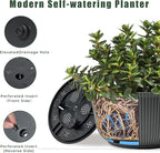 T4U 8 Inch Plant Pots, 2 Pack Self Watering Planter with Drainage Hole, Shallow Plant Pot Indoor, Home Decor Flower Pots for Plants, Cactus, Garden, Gray