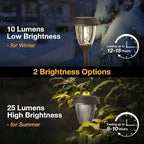 XMCOSY+ Solar Pathway Lights Outdoor, Glass & Stainless Steel Garden Lights with 2 Lighting Modes (10/25 LM), IP65 Waterproof, Warm White for Yard, Walkway, Driveway, Patio & Path (6 Pack)