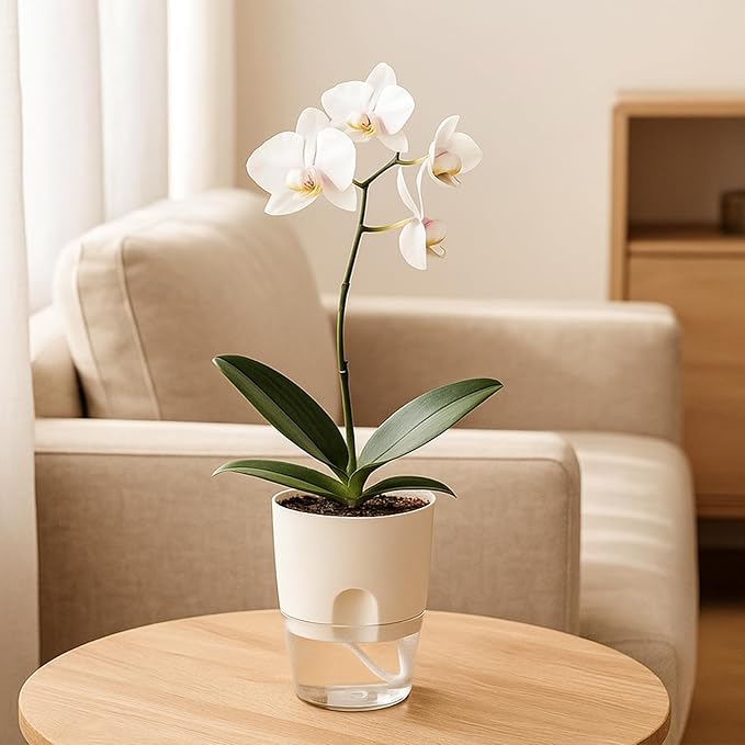 Planterhoma 5 Pack Self Watering Pots for Indoor Plants, 4 Inch Plant Pot Plastic Self Watering Planter for Orchid, African Violet, Small Clear Flower Pots with Drainage Holes and Wicking Rope, White