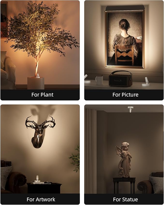Rechargeable Indoor Spotlight, 5500mAh, Dimmable with 3000K-6500K Color Temps