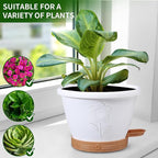 Plant Pots, Flower Pots for Indoor/Outdoor Plants, Self Watering Plastic Planters Pots with Drainage Holes, Saucer & Reservoir, Decorative Nursery Planting Pots(10 Inch Set of 4)