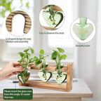 Terrarium Set, Heart Shaped Glass with Wood Stand, 3 Green Vases