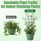 6Pcs Indoor Small Trellis, Trellis for Potted Plants, Plant Support Stakes for Climbing Plants, Stackable Plastic Plant Support for Vine Ivy Pothos Hoya