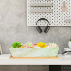 Succulent Pots - 12.1 Inch Large Succulent Pots with Drainage Tray, Window Sill Planter, Long Rectangle Ceramic Pots for Indoor Cactus/Succulent Plants Shallow Bonsai Window Box for Home Garden Decor