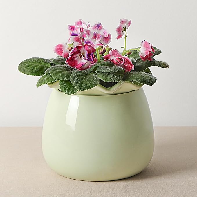 Self Watering Plant Pot, 6 Inch African Violet Pots Maintenance, Ceramic Self-Watering Planter for Indoor Plants - Ideal Flower Pot for Thriving Indoor Gardens, Green