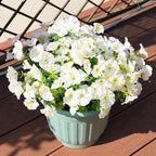 Artificial Flowers for Outdoors, UV Resistant Fake Silk Morning Glory, Realistic Faux Plants for Outside Porch Patio Window Box Hanging Planter (16, White)