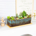 Succulent Pots - 12 Inch Large Succulent Planters with Drainage Tray, Window Sill Planter, Long Rectangle Ceramic Pots for Indoor Cactus Plants Shallow Bonsai Window Box for Home Garden Decor