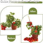 Plant Stakes 18inch, 20Pcs Natural Bamboo Sticks Garden Stakes, HAINANSTRY Plant Support Stakes for Indoor & Outdoor Plants, Orchid Tomato Vegetable Stakes for Garden