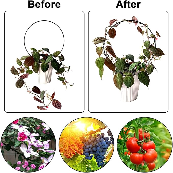 Lyellfe 8 Pack Garden Trellis for Climbing Plants, 13" Rust Free Climbing Trellis for Potted Plants, Iron Plant Trellis, Climbing Holder Rack for Pothos, Hoya, Vines, Stem Stalks, Round, Heart