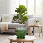 Ceramic Pots for Plants - 8 Inch Planter for Indoor Outdoor Plants, Round Planter, Large Flower Pot with Drainage and Saucer, Home Room Garden Office Decor, Birthday Gifts, Green