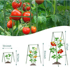 Cucumber Trellis Garden Trellis Arch Trellis, Tall Trellis for Climbing Plants Support Vegetable Peas Fruit Vine Outdoor A-Frame Trellis Suit for Small Plant not Heavy