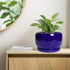 SQOWL Ceramic Plant Pot - 10 Inch Ceramic Planter for Indoor Outdoor, Round Flower Pot with Drainage Hole and Saucer, Modern Decorative Large Planter, Garden Decor, Plant Lover Gifts, Blue