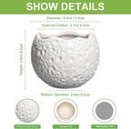 4 inch Plant Pots - Ceramic Pots for Plants with Drainage Hole, Small Planter for Indoor Outdoor, Unique Succulent Pot, Decorative Modern Round Planter, Desk Decor, Plant Lover Gifts, White