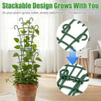 6Pcs Indoor Small Trellis, Trellis for Potted Plants, Plant Support Stakes for Climbing Plants, Stackable Plastic Plant Support for Vine Ivy Pothos Hoya