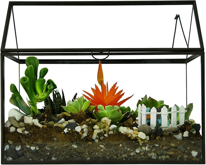 Terrarium Black House-Shaped Glass Planter with Swing Lid, Large