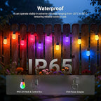 NEEWER 96ft Outdoor String Lights, App Control Smart AI RGBW Hanging Outside Warm White Patio Balcony Backyard Lighting, IP65 Waterproof, 30 LED Bulbs, 50+ Scenes, Compatible with Alexa Google, NR01