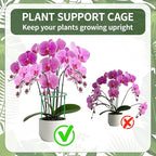 36 Pack Plant Support Stakes Sets - Versatile Plant Cages, Stackable Garden Flower Support， Small Plant Stakes for Indoor Plants,Tomato,Monstera, Peony, Hydrangea, Climbing Plants