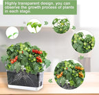 Self Watering Planters - 4 Pack Rectangular Clear Plant Pots with Drainage Holes for Indoor Plants