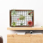 Plant Hanger Indoor Outdoor, 16" Large Hanging Planters for Indoor Plants Hanging Plant Holder Wood Metal Hanging Plant Shelf Large Hanging Baskets for Plants Outdoor Window Ceiling