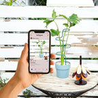 Set of 3 Sturdy Metal Plant Support Stakes for Indoor & Outdoor Use - Garden Trellis for Hydrangeas, Monstera, Flowers, Herbs, and Seedlings - Ideal for Small to Medium Plants