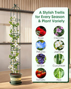 2PCS Garden Trellis for Climbing Plants, 6.2FT Rustproof Metal Pipe with Heavy Duty Plastic Coated, Garden Outdoor Indoor Potted Plant Support, Obelisk Garden Trellis for Climbing Vine (Green)