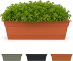 Bloem Dura Cotta 18" Terra Cotta Resin Rectangle Window Box Planter with Saucer Tray for Indoor and Outdoor Gardening