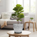 Ceraimc Plant Pot - 8 Inch Planter with Drainage and Saucer, Modern Round Planter, Flower Pot for Indoor Outdoor Plants, Home Room Garden Apartment Decor, Gifts for Plant Lovers, White-Black