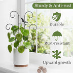 Indoor Plant Trellis for Climbing Plants, Stackable Garden Trellis for Potted Plants, Small House Plant Trellis for Vine Ivy Flower Plant Support Outdoor DIY Metal Trellis 3 Pack, Bird Design