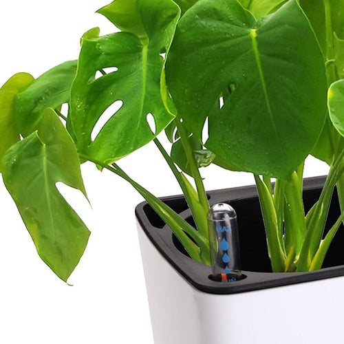 2 Pack Rectangle Self Watering Planter with Water Level – 16x5.5in