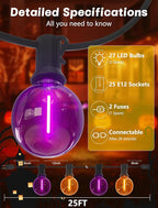 String Lights, 25 FT G40 LED Globe Lights with Orange and Purple Bulbs