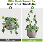 3 Pack U-Shaped Colorful Acrylic Plant Trellis for Indoor Plants, Small Plant Trellis for Potted Plants Climbing Plants, Plant Support Trellis for Vine Ivy Hoya Indoor Outdoor