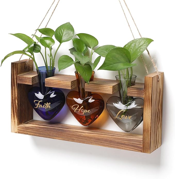 Terrarium Set with Heart Shaped Glass Vases and Wood Stand, 3 Pieces