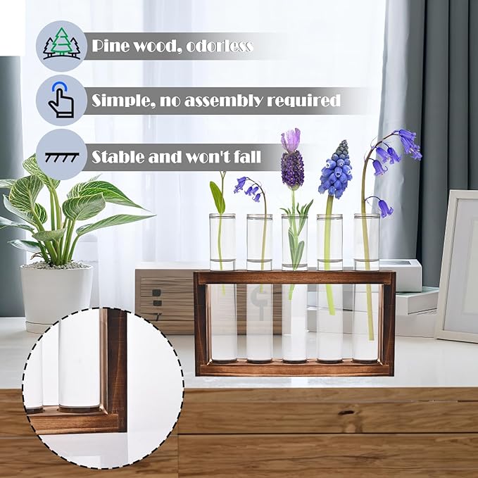 Terrarium Propagation Station, 5 Clear Glass Tubes with Pine Wood Stand