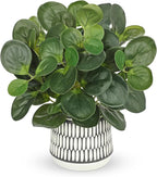 12" Artificial Plants Indoor Small Fake Plant in Ceramic Pot, Silk Plants for Home Decor Indoor, Faux Peperomia Potted Plant for Shelves, Desks, Home, Room, Office, Bedroom, Entryway, Tabletop Decor