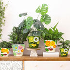 GUGUGO 8 Inch Large Flower Face Planters, Abstract Unique Head Plant Pot with Drainage, Rainbow Colorful Cute Flower Plant Pots for Indoor Plants, Funny Gardening Pot Gift Home Décor, Green&White