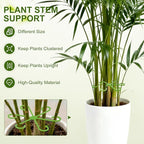 20pcs Plant Stem Support, Unique Design Stem Supports for Indoor Plants, Monstera Plant Support for Thriving Growth, Four Different Size Combinations Indoor Plants Accessories (Green)