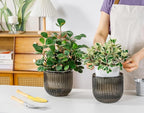 Melphoe Self Watering Pots for Indoor Plants Planter, 6.5 Inch 2 Pack Planters Self Watering Plant Pots for Flower, Houseplants, Succulent, African Violets and Cactus with Drainage
