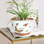 YBX 8 Inch + 6 Inch Terracotta Plant Pots, Flower Pots for Indoor Plants with Drainage, Planters with Butterfly Accent for Indoor Plants (Tropical)