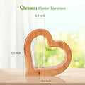 Terrarium Wall Planter with Glass Test Tube, Heart Shaped Pine Wood Stand