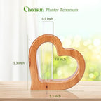 Terrarium Wall Planter with Glass Test Tube, Heart Shaped Pine Wood Stand